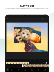 capcut - montage video & photo iPad Captures Décran 2