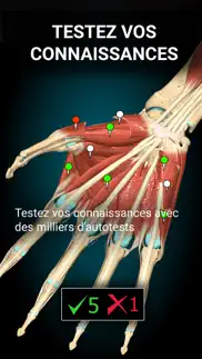 anatomy learning - anatomie 3d iPhone Captures Décran 2