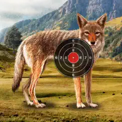 coyote target shooting logo, reviews