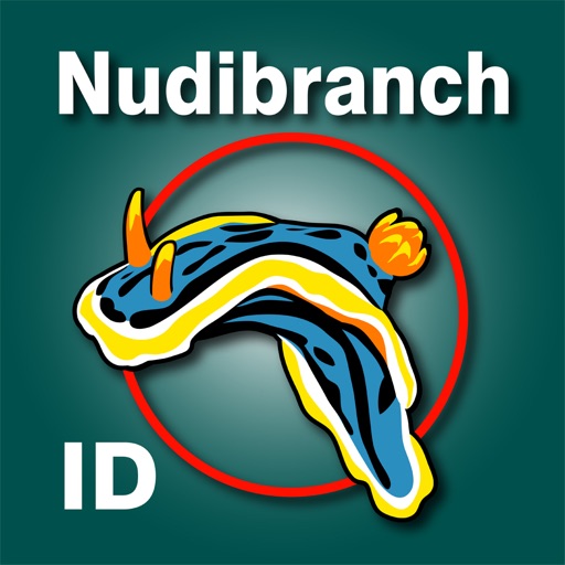 Nudibranch ID Western Atlantic app reviews download