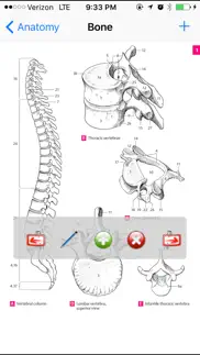 anatomy atlas iphone resimleri 1