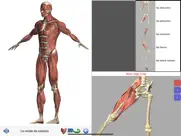 visual anatomy iPad Captures Décran 4