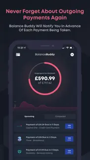 balancebuddy: money management iphone images 1