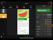 pineapple - création d'applis iPad Captures Décran 4