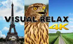 visual relax 4k logo, reviews