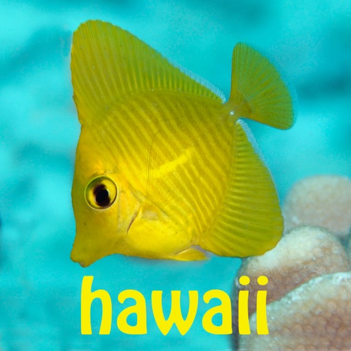Snorkel Fish Hawaii for iPhone app reviews download