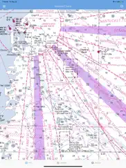 nautical charts & maps айпад изображения 2