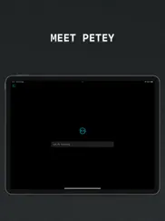 petey - ai chat ipad images 1