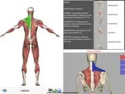 visual anatomy lite iPad Captures Décran 4