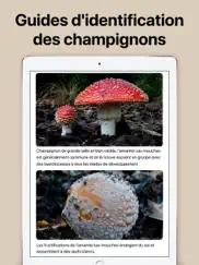 picture mushroom - champignon iPad Captures Décran 4