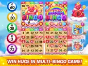 bingo aloha-juego bingo online ipad capturas de pantalla 4