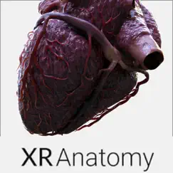 3D Heart Anatomy uygulama incelemesi