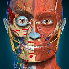 Anatomy Learning - 3D анатомия Обзор приложения