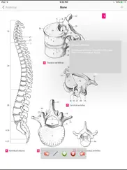 anatomy atlas iPad Captures Décran 2