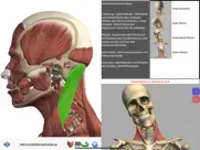 visual anatomy ipad bildschirmfoto 1