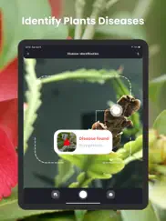 plantin: plante reconnaissance iPad Captures Décran 3