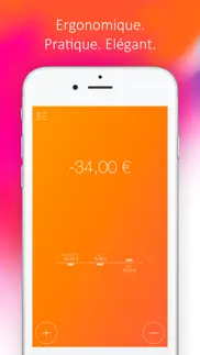 daily budget original pro iPhone Captures Décran 2