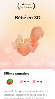 wemoms - grossesse bébé mamans iPhone Captures Décran 1