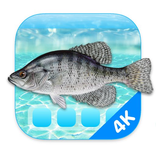 aquarium 4k - live wallpaper logo, reviews