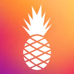 hawaiian bros logo, reviews