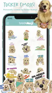 tuckermoji - tucker budzyn dog iphone images 4