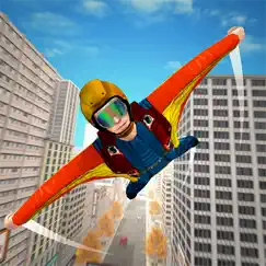 flying glider - wingsuit boy logo, reviews