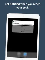liberate - website blocker iPad Captures Décran 4
