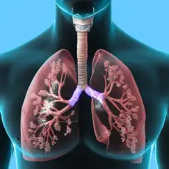 respiratory system trivia logo, reviews