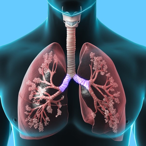Respiratory System Trivia app reviews download