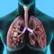 Respiratory System Trivia anmeldelser