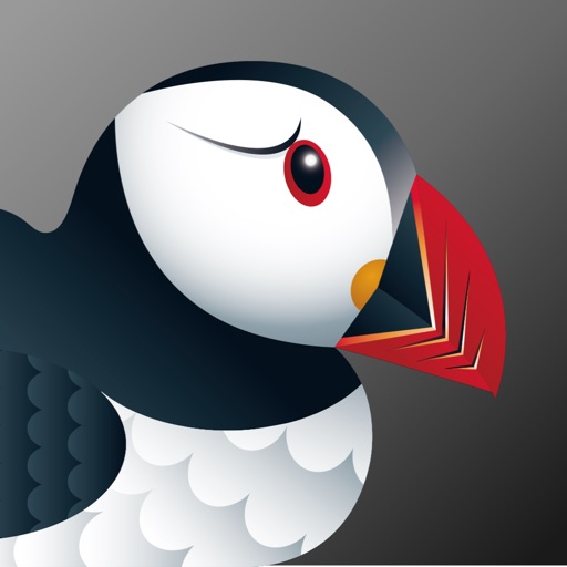 Puffin Incognito Browser app reviews download