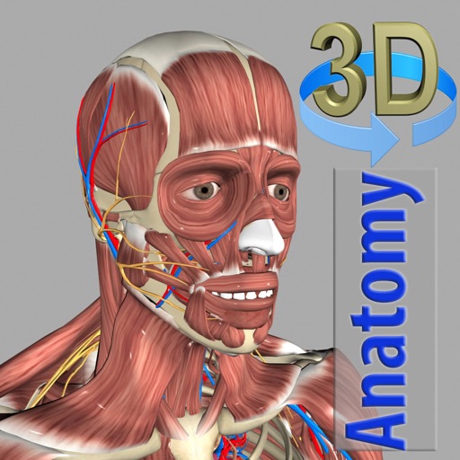3D Anatomy app reviews download