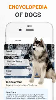 dog scanner dog breed photo id iphone resimleri 4