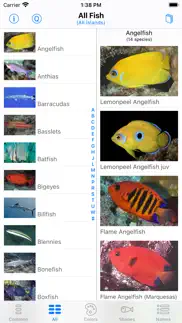 tahiti fish id iPhone Captures Décran 2