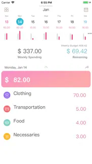 wesave - budget, money tracker iphone images 3