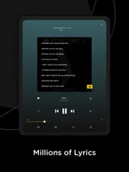 fizy – music & video ipad images 3