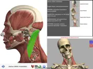 visual anatomy iPad Captures Décran 1