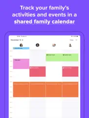 family daily - organizer ipad images 1