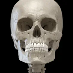 Skeleton 3D Anatomy uygulama incelemesi