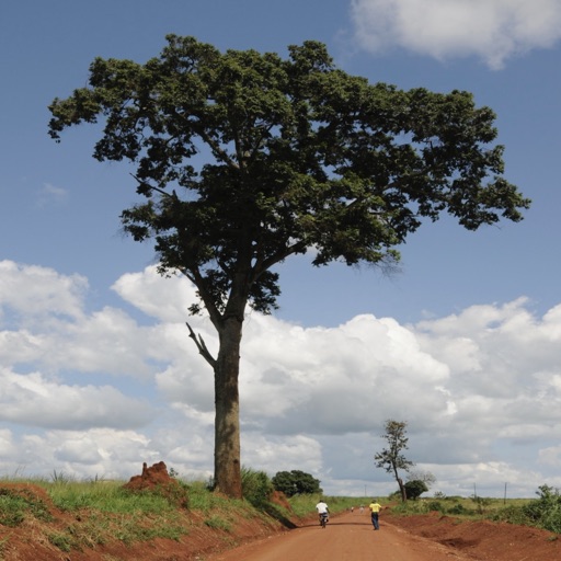 Useful Trees of East Africa app reviews download