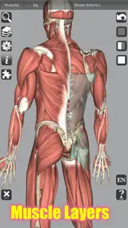 3d anatomy learning iphone resimleri 3