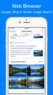 reverse image search app iphone images 2