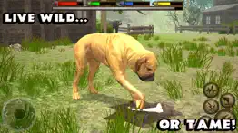 ultimate dog simulator iphone images 3