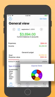 budget control of expenses iphone images 1