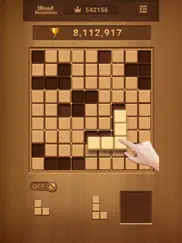block puzzle-wood sudoku game айпад изображения 3