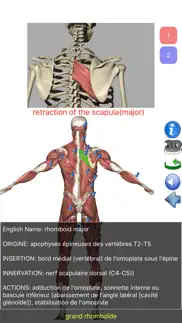 visual anatomy lite iPhone Captures Décran 4