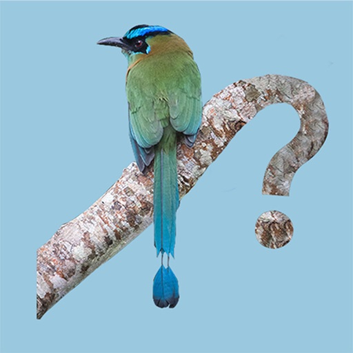 Panama Birds Field Guide app reviews download