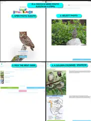 ibird ultimate guide to birds ipad images 3