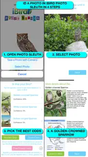 ibird ultimate guide to birds iphone images 3