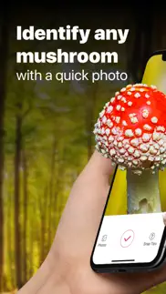 picture mushroom: fungi finder iphone images 1